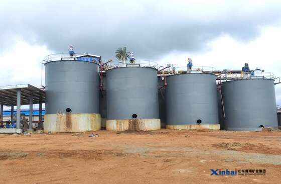 Xinhai-Ghana-500 TPD-Gold-Tailings-Cyanidation-Plant-7.jpg